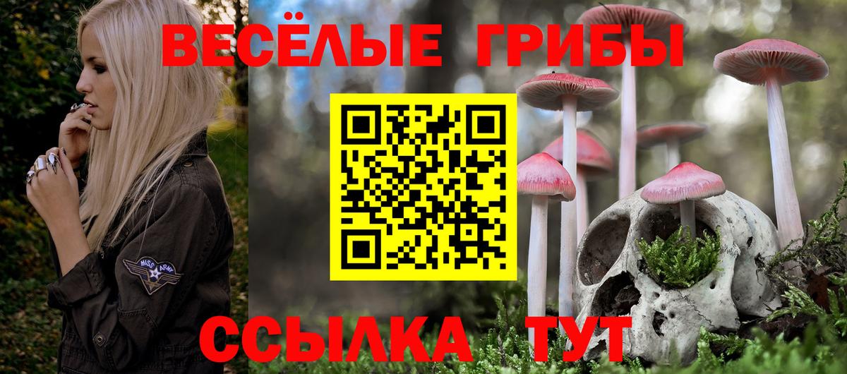 Галлюциногенные грибы Cubensis Аксай